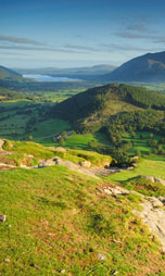 Environment Natural Environment UK Environment Natural Environment News